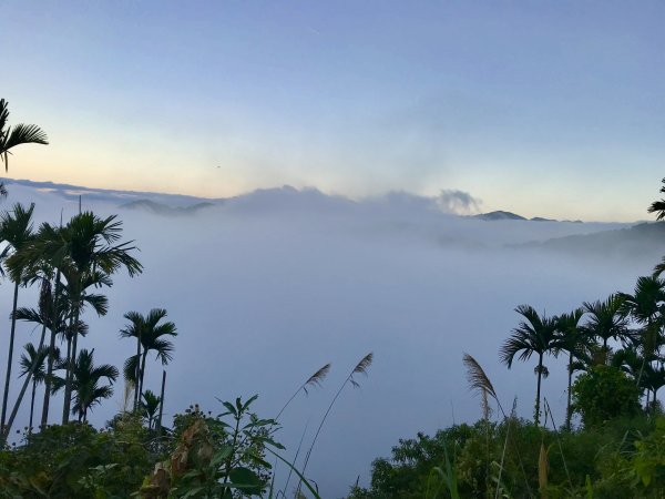 竹林饗宴--瑞太古道登雲戴山順走九芎坪山493538