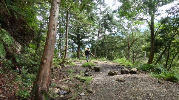 雙龍林道上巒安堂西巒大山1778733