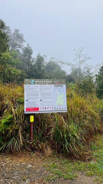 🌈4/13（日）（三）魔法森林-塔曼山~FB：熊熊趴爬走🌈2761300