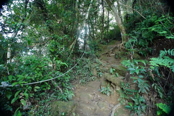 桃園 大溪 新溪洲山、溪洲山、林嵩壽山、內湳溝山、頭寮山3006214