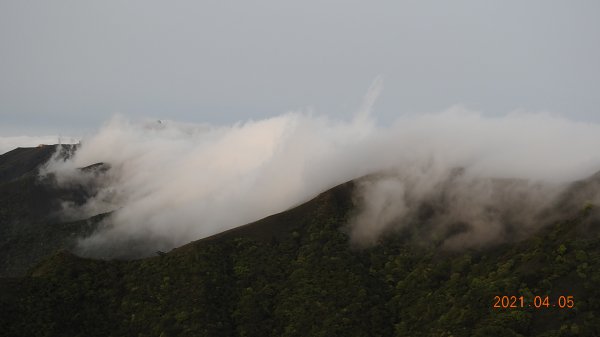 0405陽明山再見雲瀑，今年以來最滿意的一次1335459