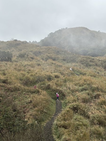 陽明山東西大縱走-東段2984554