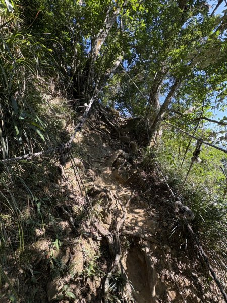 20251123台南－獵鷹尖一線天步道2944559