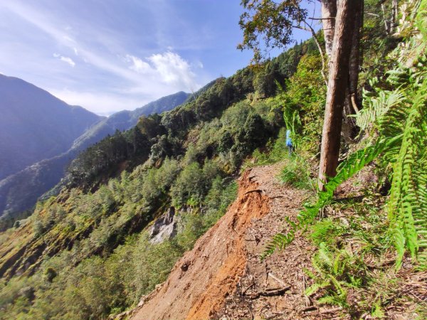 2025/7/12、7/13 西巒大山2839176