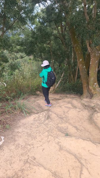 2025-0208聚興山小百岳2710895