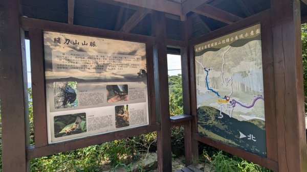 關刀山步道 (出關古道：聖關段)2532823