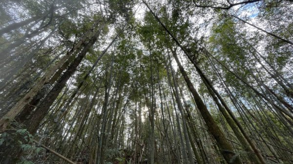 過坑山快閃2685061