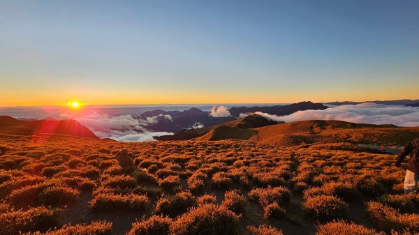 #奇萊南峰，海拔標高3358m#五星級豪華山屋_天池山莊 #天池山莊的紫色雲海、藍綠天空、皎潔明月封面