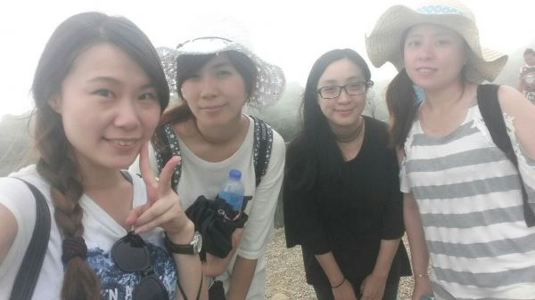 擎天崗環行步道294004