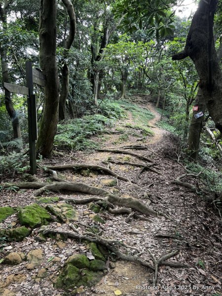 連走微笑山線第一段＋第二段（大棟山系）2853024