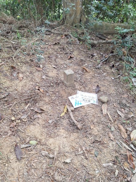 南化鈺鼎步道上糖子恩山+北峰202503152736892