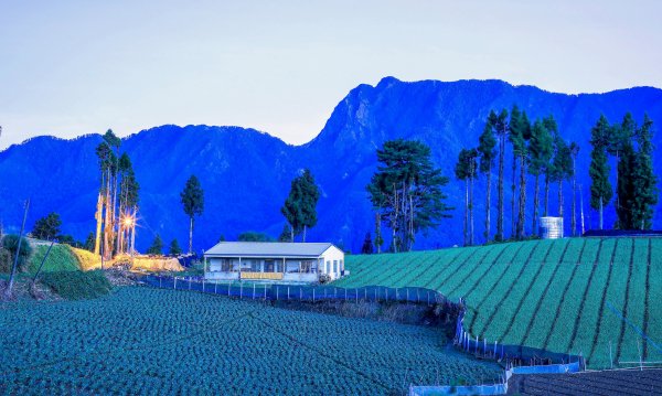 秋遊福壽山順走合歡溪步道690366