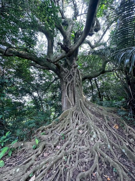 淡蘭古道南路第一段第二段2822844