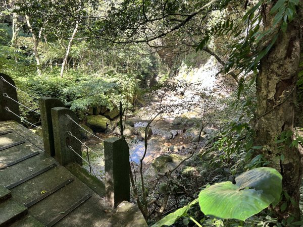 暖東峽谷步道2949295