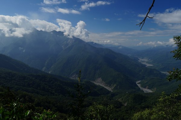 高雄 桃源 烏夫冬山2312717