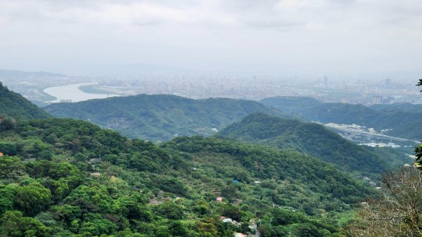 八里牛港稜山，林稍步道，泰山崎頭古道，義學坑步道，明志書院，林口頂福巖森林步道（林口森林步道）1873573