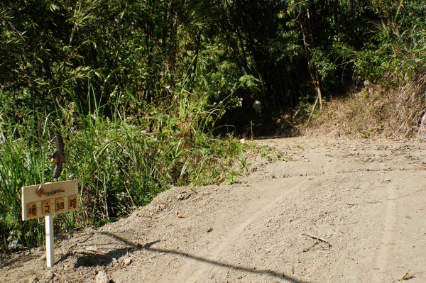 苗栗 卓蘭 白布帆山2967909