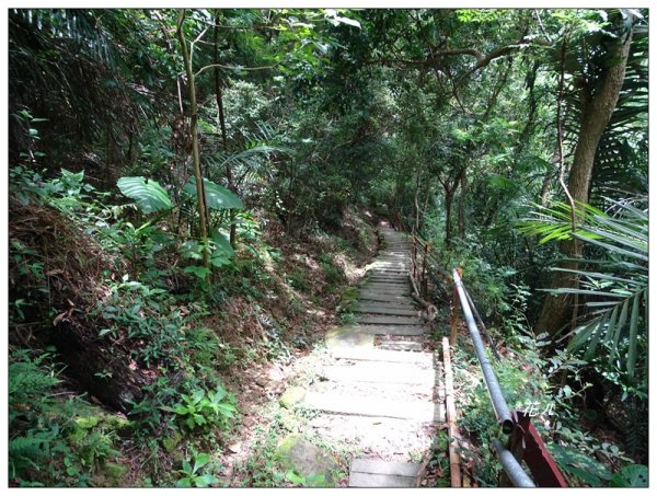 大坑/觀音山(小百岳)626924