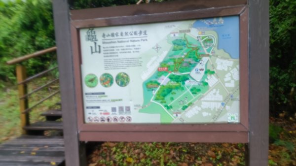 高雄龜山登山步道1753347