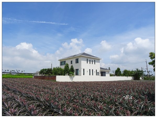 彰化/橫山觀日步道636169