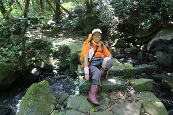 魚路古道、擎天崗、瑪礁古道、鵝尾山