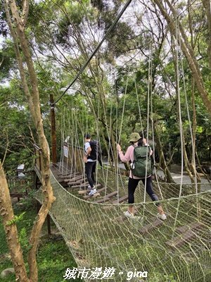 【台中北屯】大坑1號步道3095050