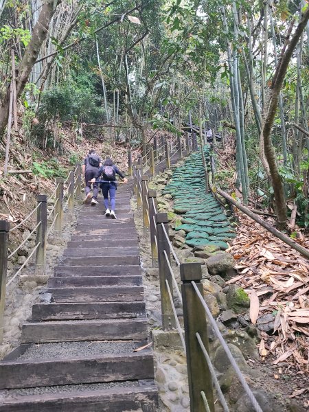 大坑10號提前修好啦(10號上+6號+7號下)2753636