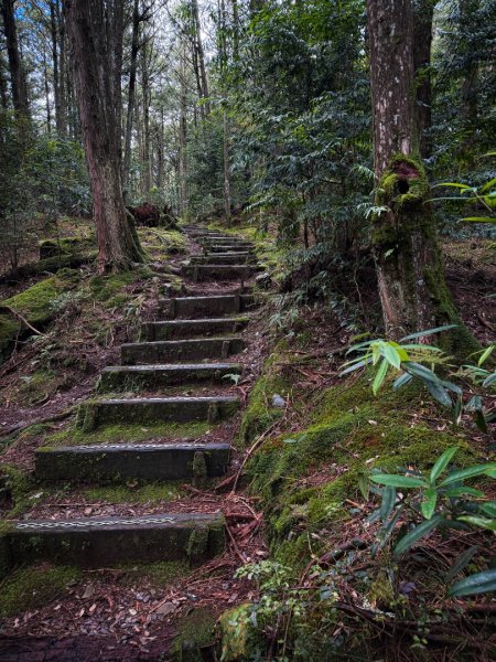 船型山-稍來小雪山國家步道3138042