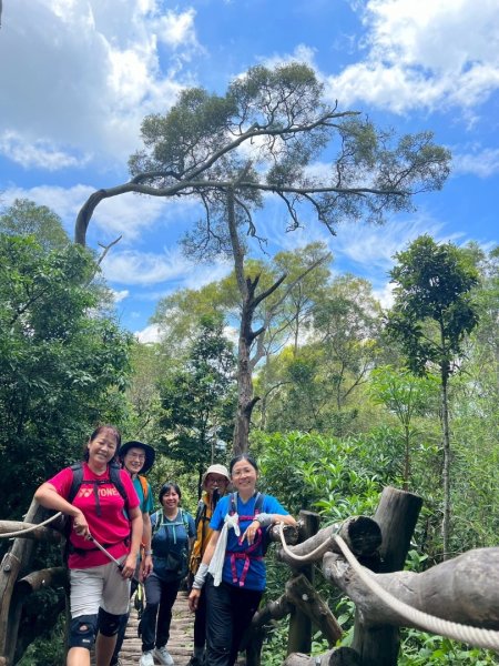 大坑1號和2號步道2826380