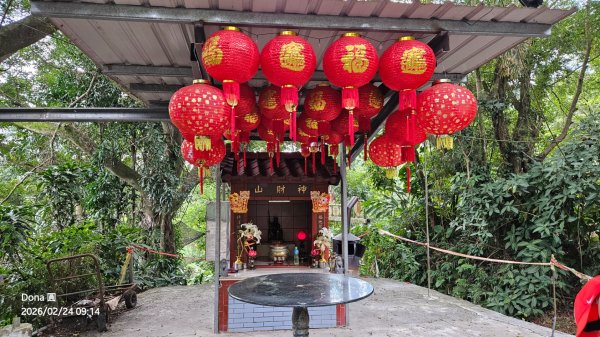 圓通寺烘爐地登山步道大O走3006977