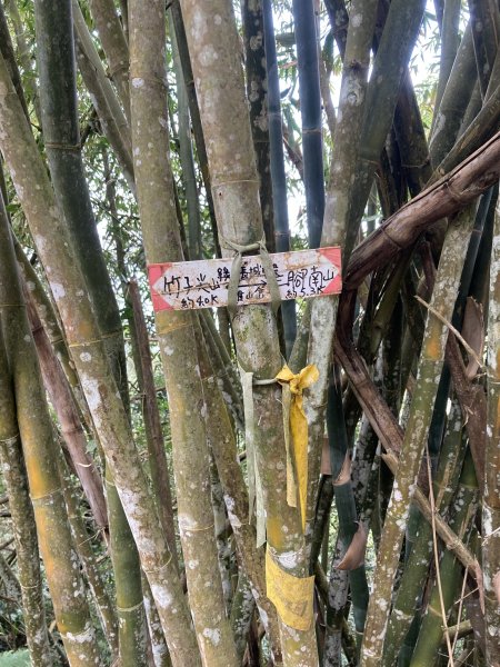 20260214三竹縱走;三腳南山+竹仔尖山3001700