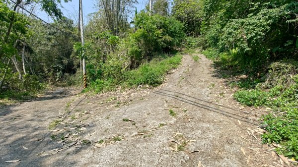 西阿里關山3033614