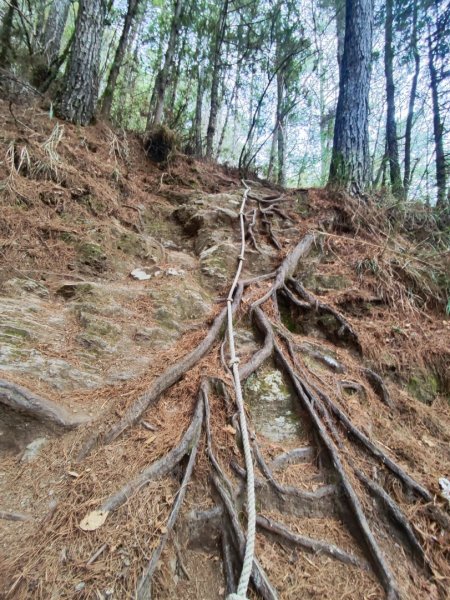 單攻志佳陽2725302