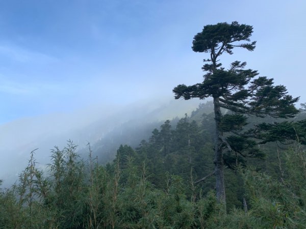 四天三夜的能高越嶺道+南華山719011