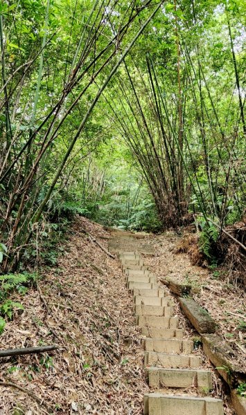 汐止新山夢湖，石獅山，翠谷橋壺穴，內湖大崙尾山，明舉山，康樂山，翠山步道，汐止金龍湖，學頭坡山2210472