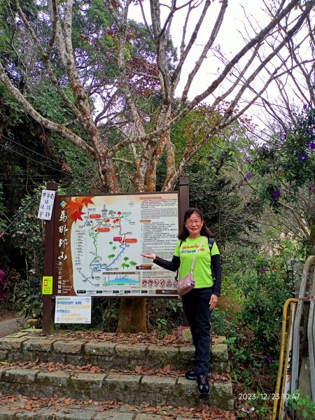 四訪苗栗的花果山-小百岳#037馬那邦山、雪霸國家公園管理處【小百岳集起來、苗栗-臺灣百大必訪步道】2394316