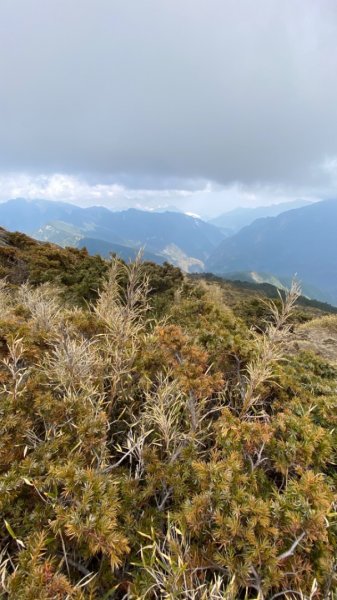 合歡北峰。時晴時霧時雲雨1481405