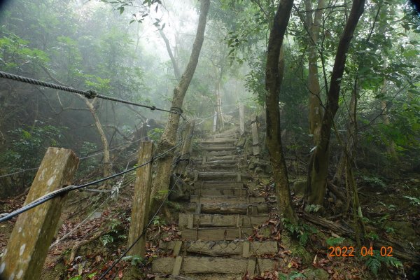 臺南 南化 王爺崙山1664017