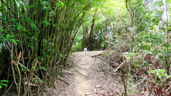向北的龜溪縱走。評耶哀2777734
