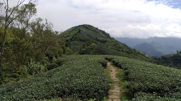 馬鞍山+梨子腳山355824