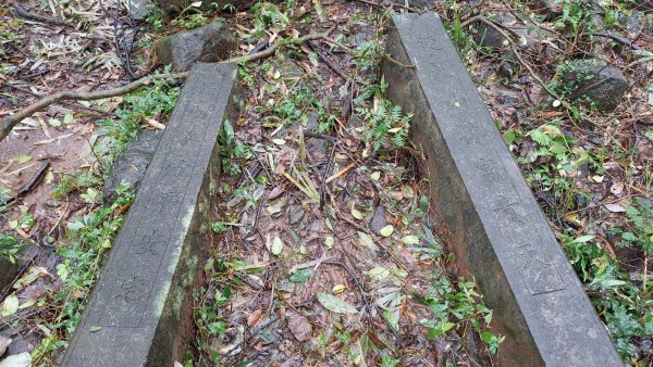 陽明山後花園，百年靜美牧牛山徑，古道草原精華連走2787717