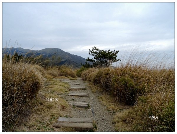 合歡坡/小風口山1329160