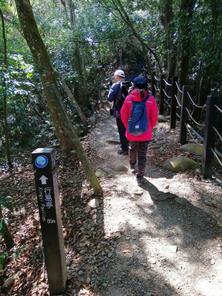 台中北屯~相思圓木棧道練腳力大坑二號步道883318