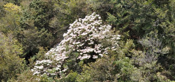 202414~15歷經2年抽籤終於蒞臨台灣最高峰玉山西、北、主峰2481785