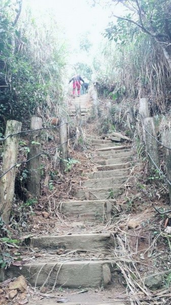 關子嶺大凍山步道253617