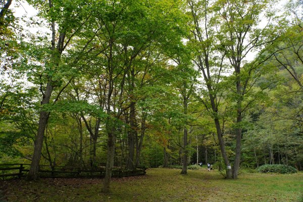 日本 北海道2908556