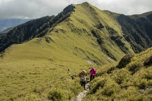 大小劍-油婆蘭全紀錄2674237
