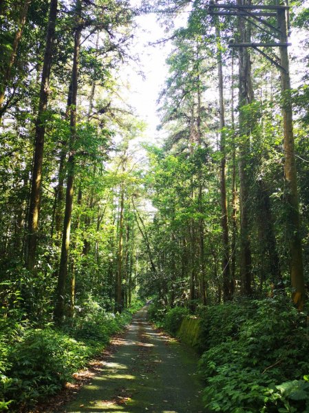 南投魚池水道頭瀑布，水社大山捷徑1046273