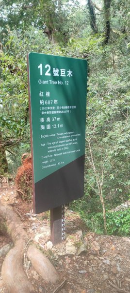 拉拉山國家森林遊樂區2752235