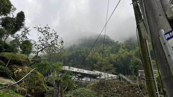 米堤香蕉園-鳳凰山-鳳凰南峰（台寅山） -金柑樹山-金柑樹山西北峰-領頭山東峰-忘憂森林2551825